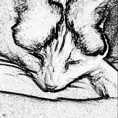 vrouw holle